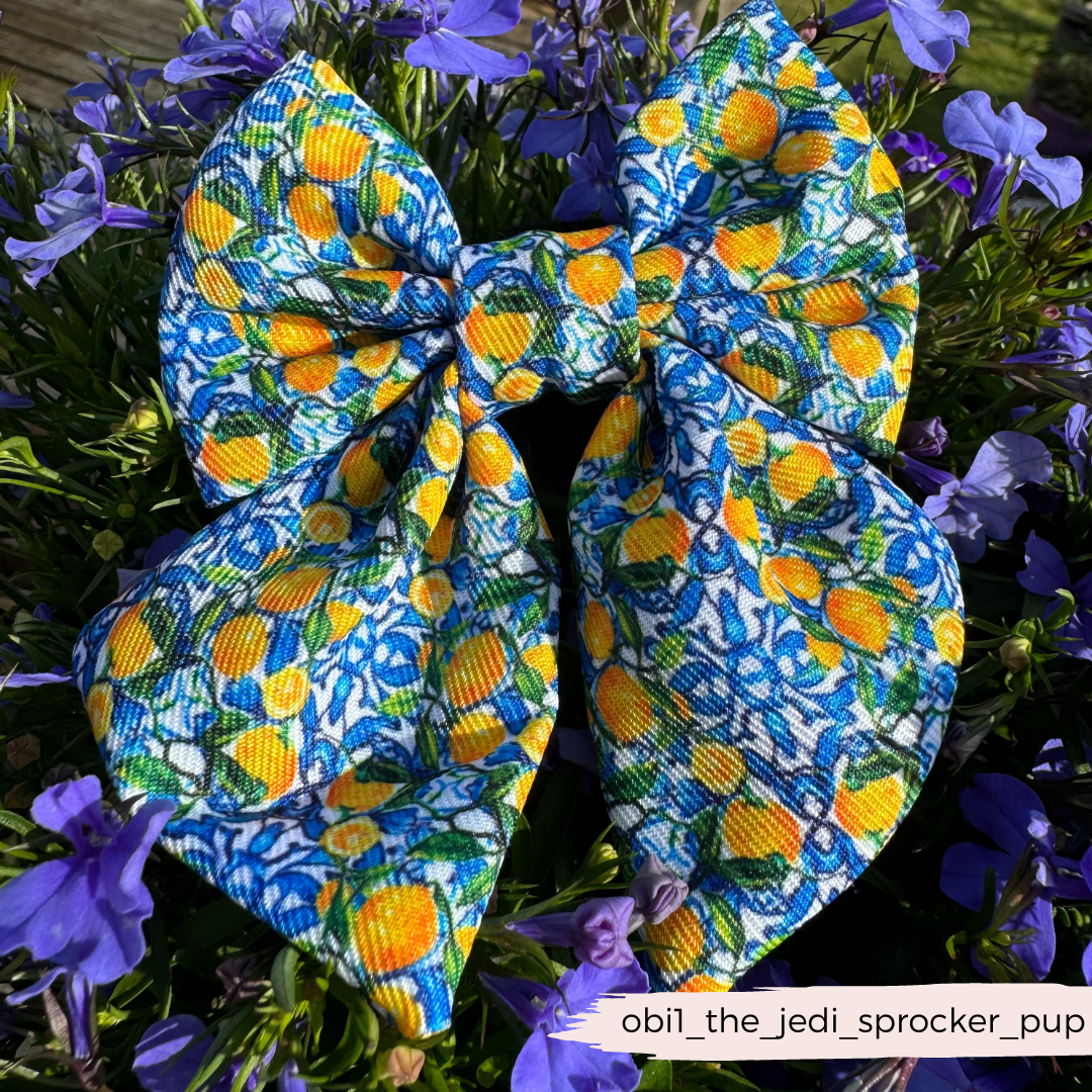 Amalfi Lemon Sailor