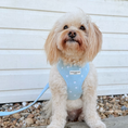 Translation missing: nb.products.product.gallery_thumbnail_alt
