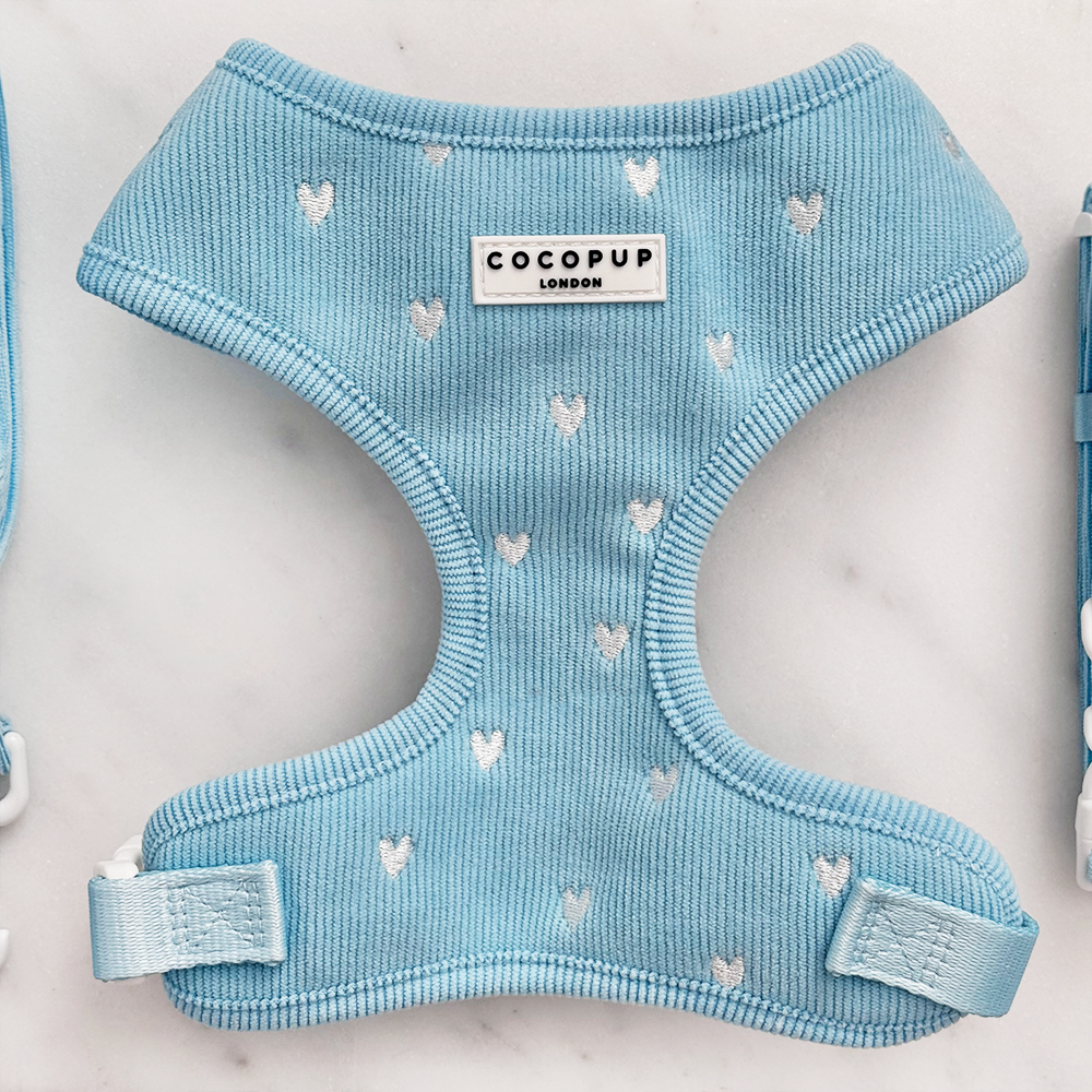 Blue Cord Hundesele