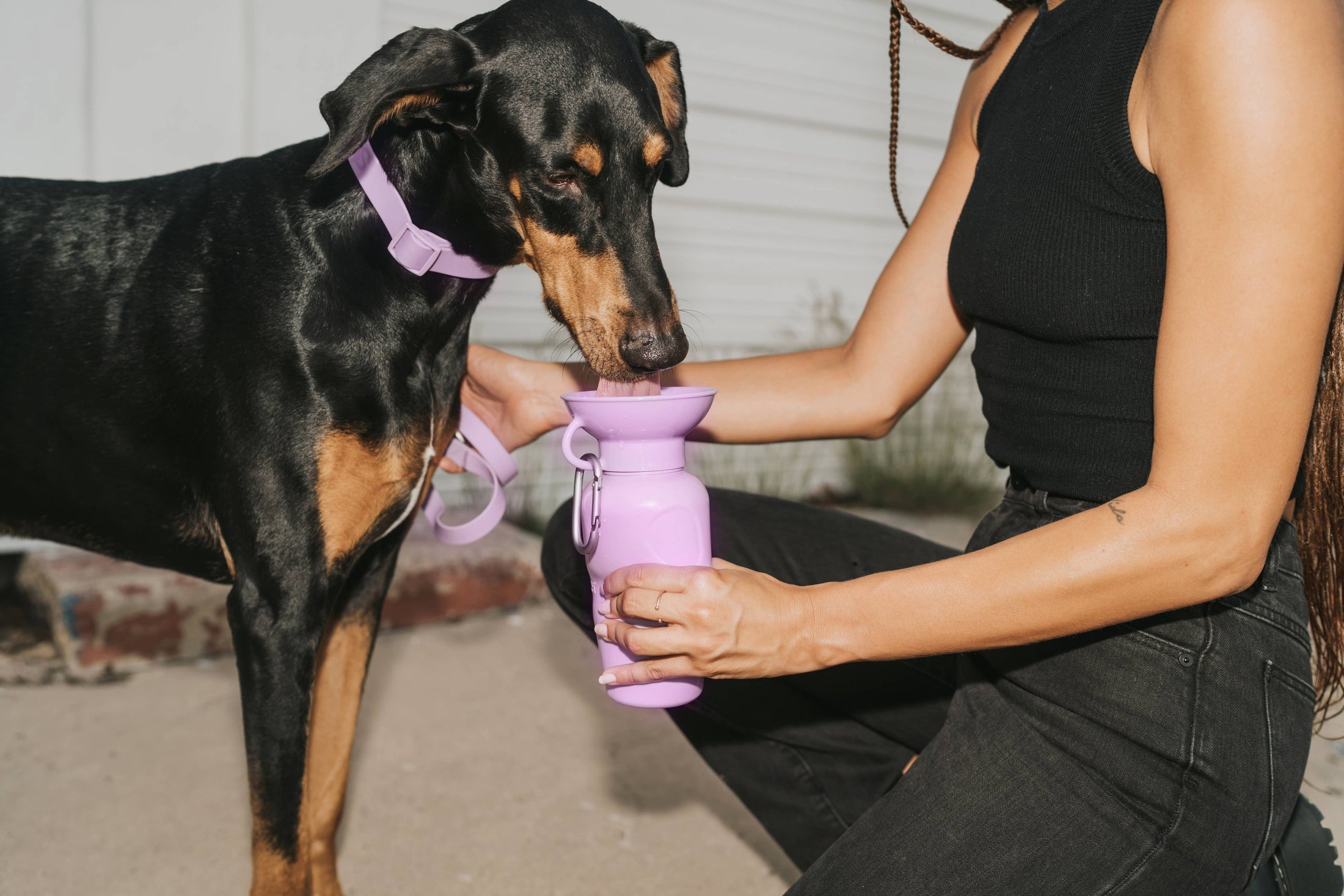 Dog Travel Water Bottle Classic - Gray