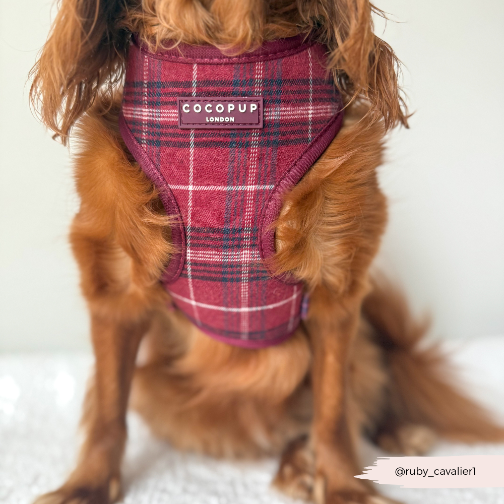 Cocopup London - Mulberry Plaid Adjustable Neck HARNESS