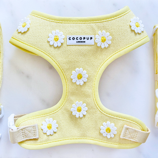 Buttercup Pup Hundesele