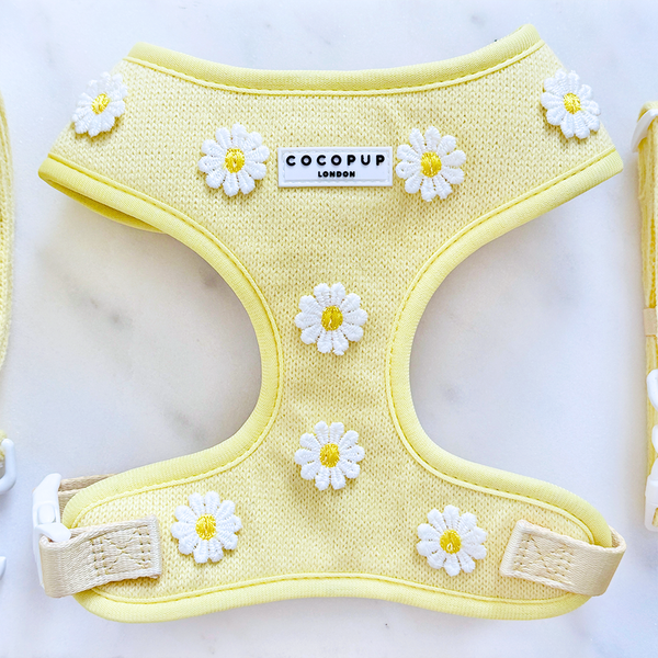 Buttercup Pup Hundesele