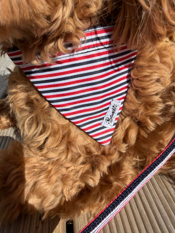 Tricolor Bandana Halsbånd