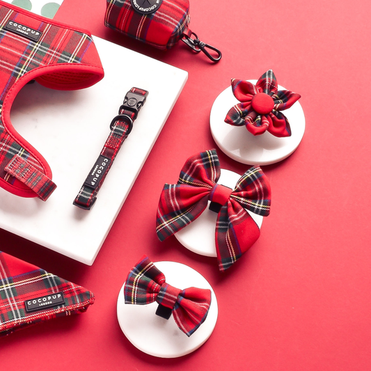 Tartan Sailor