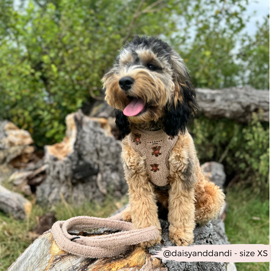 Cocopup London - Theo Embroidered Teddy Adjustable Neck Harness