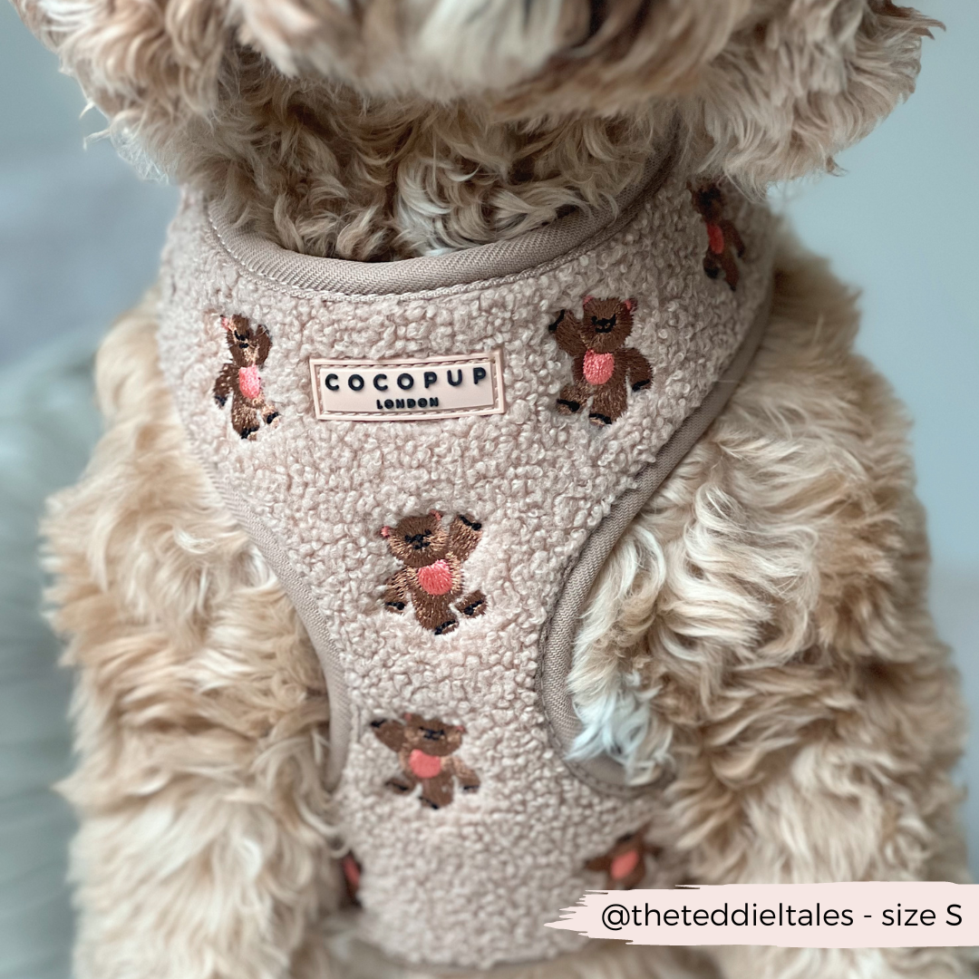 Cocopup London - Theo Embroidered Teddy Adjustable Neck Harness
