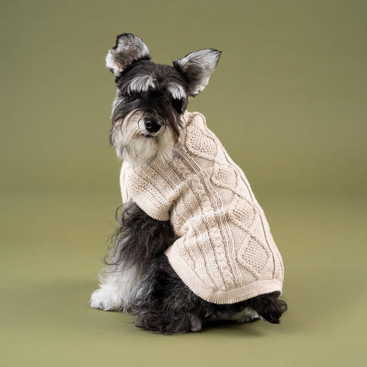 Ivory Aran Alpaca Dog Sweater