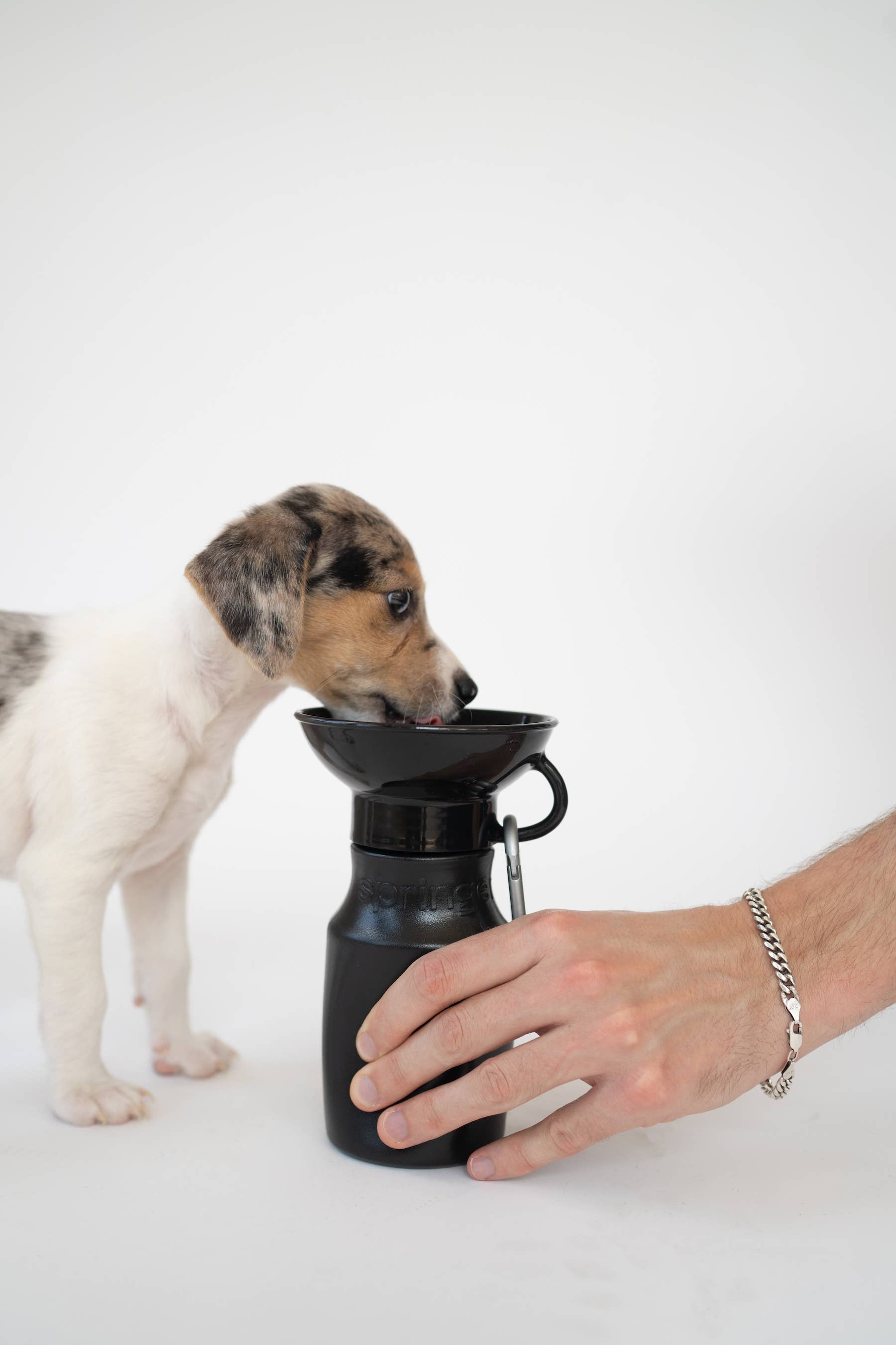 Dog Travel Water Bottle Mini - Black