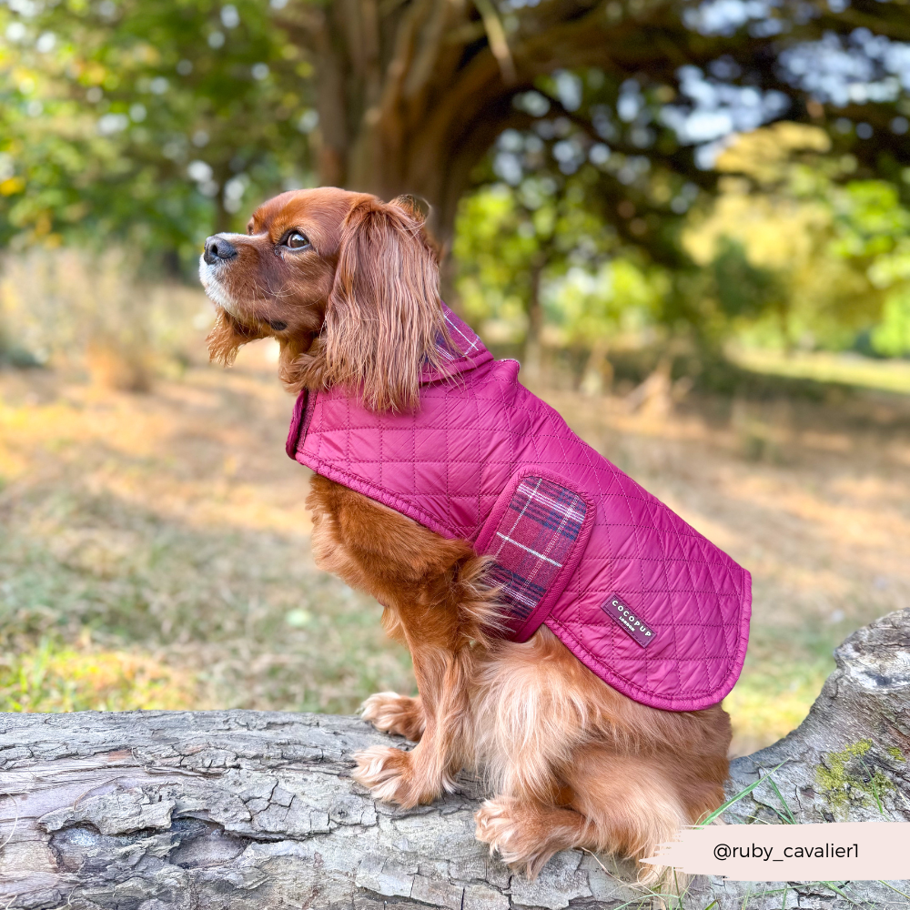 Cocopup London - LUXE Quilted Dog Coat - Mulberry Plaid