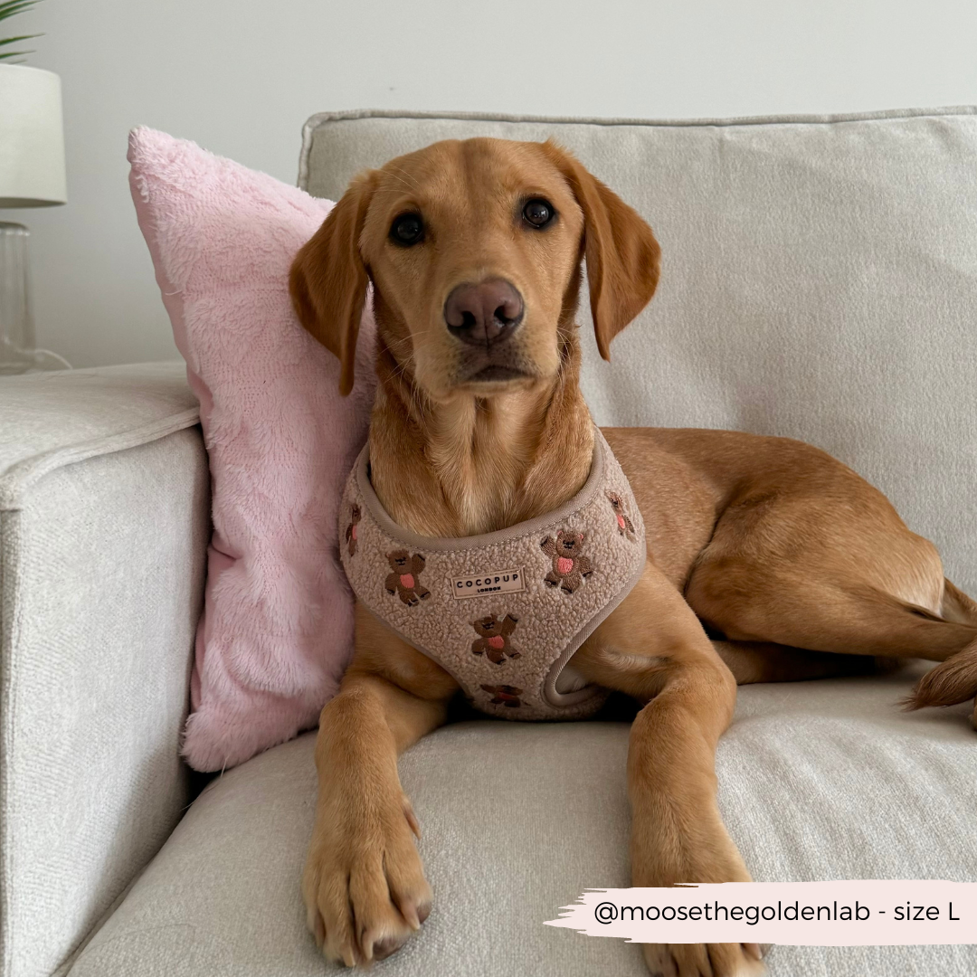Cocopup London - Theo Embroidered Teddy Adjustable Neck Harness