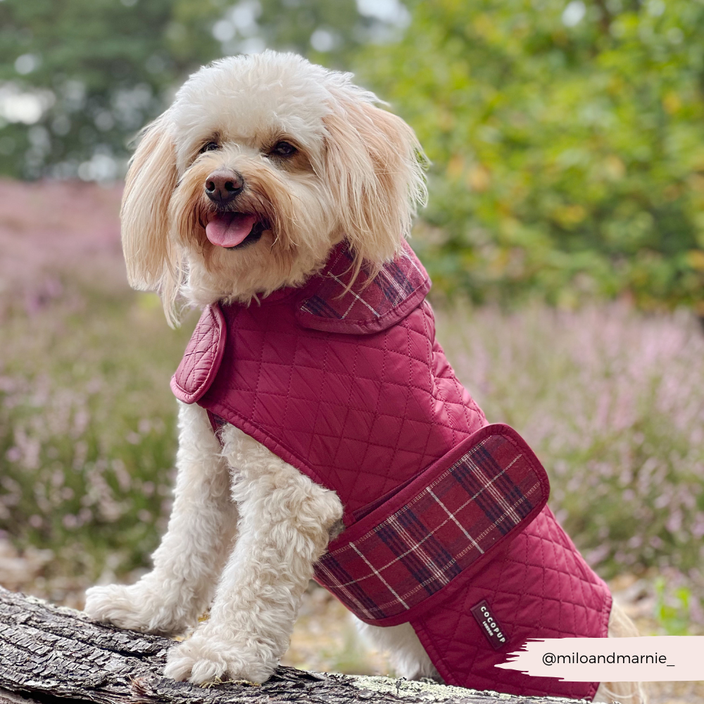 Cocopup London - LUXE Quilted Dog Coat - Mulberry Plaid