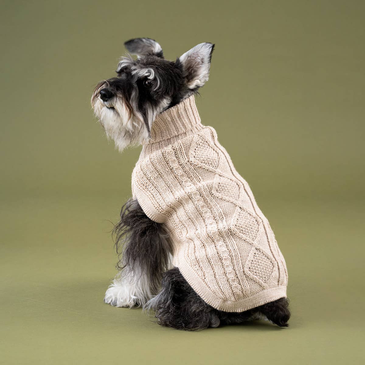 Ivory Aran Alpaca Dog Sweater