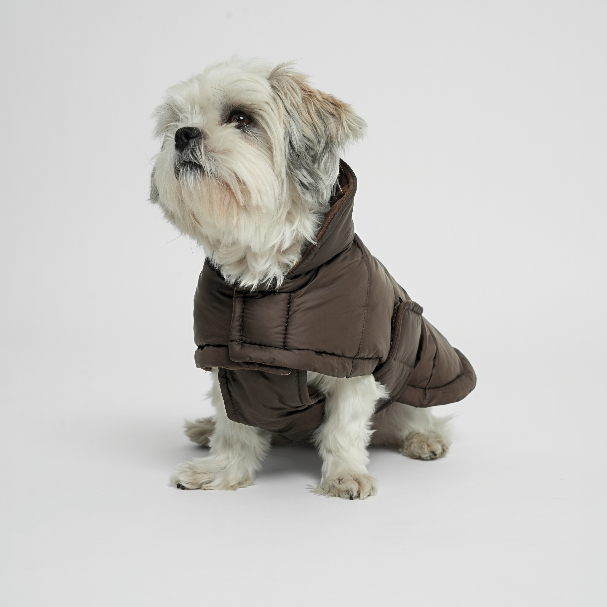 Nora Dog Coat | Espresso