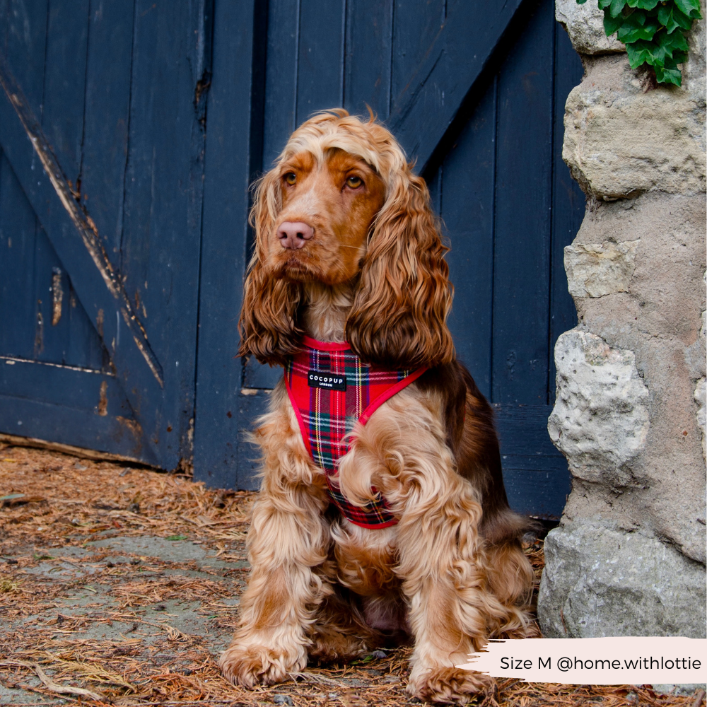 Tartan Adjustable Neck HARNESS