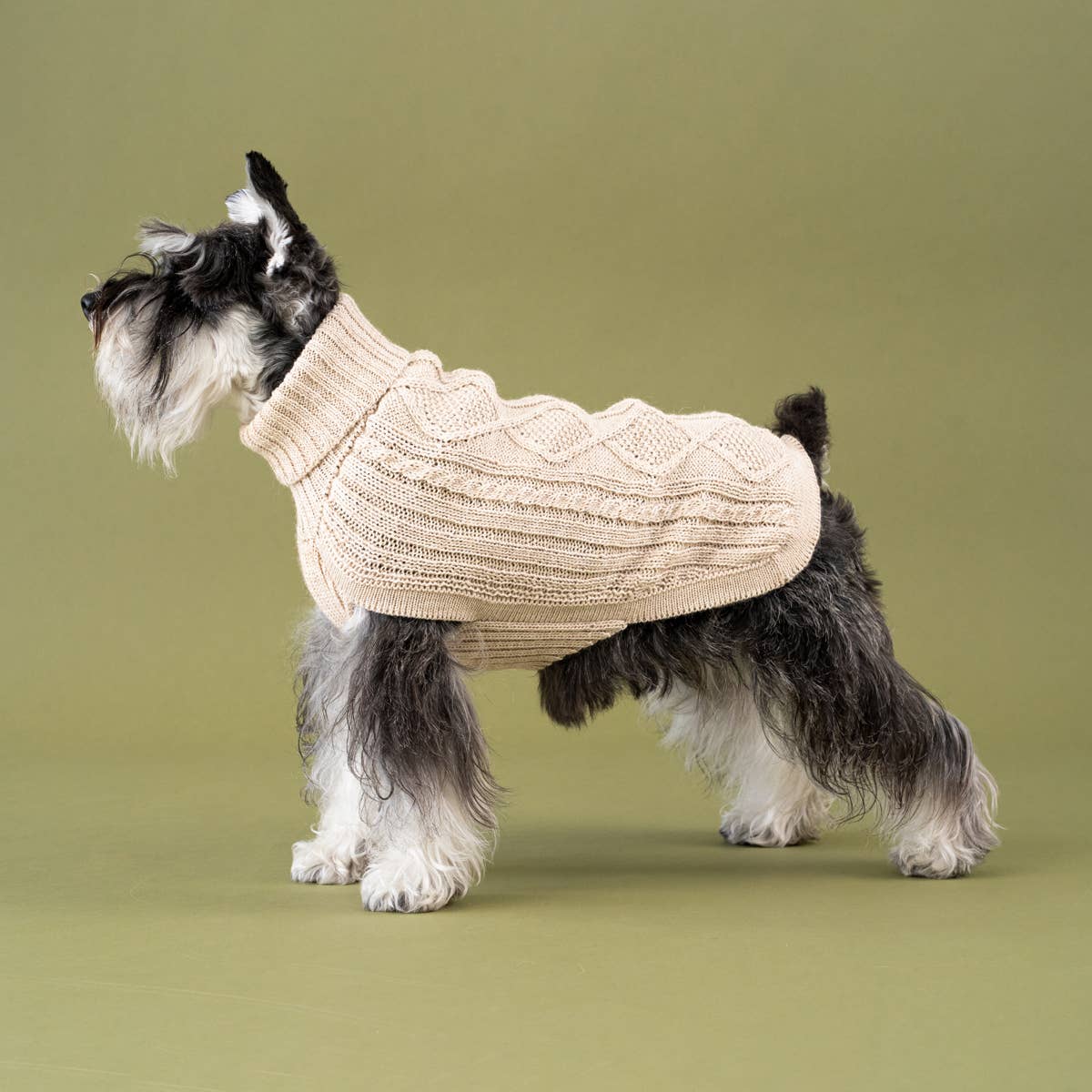 Ivory Aran Alpaca Dog Sweater