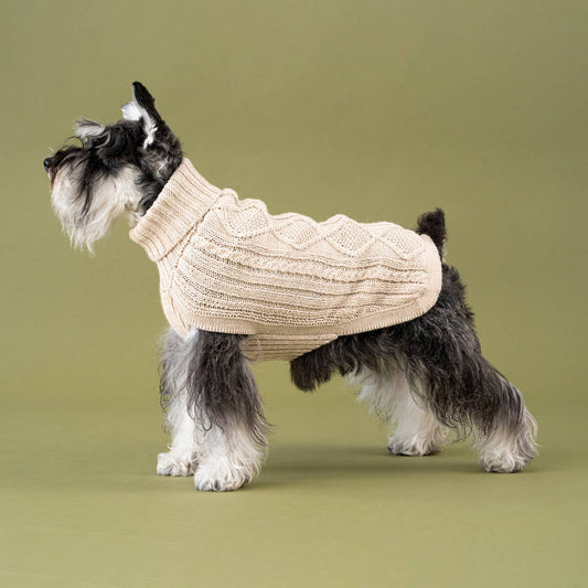 Ivory Aran Alpaca Dog Sweater