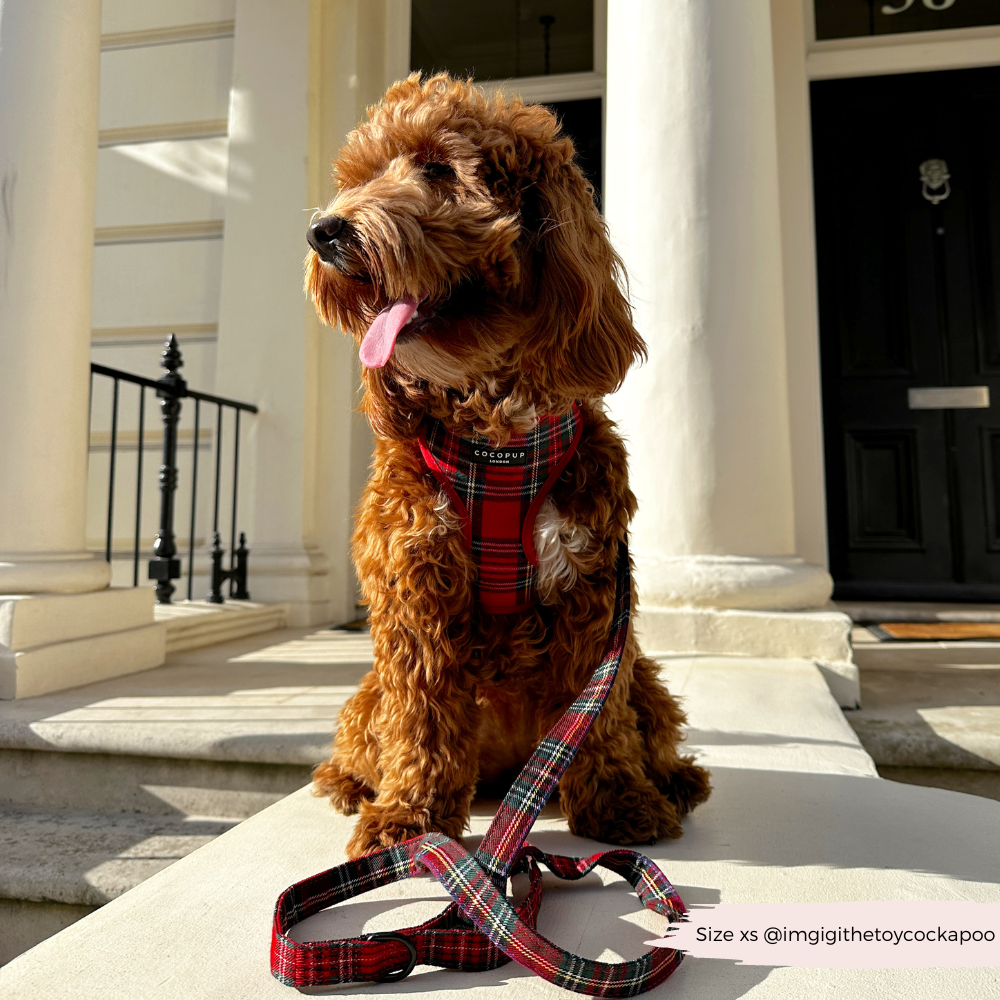 Tartan Bånd
