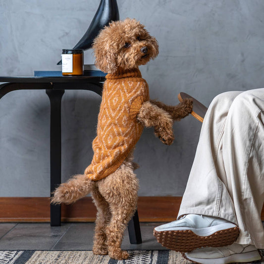 Golden Ochre Alpaca Dog Sweater