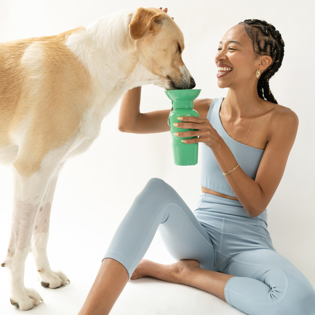 Dog Travel Water Bottle Classic - Gray