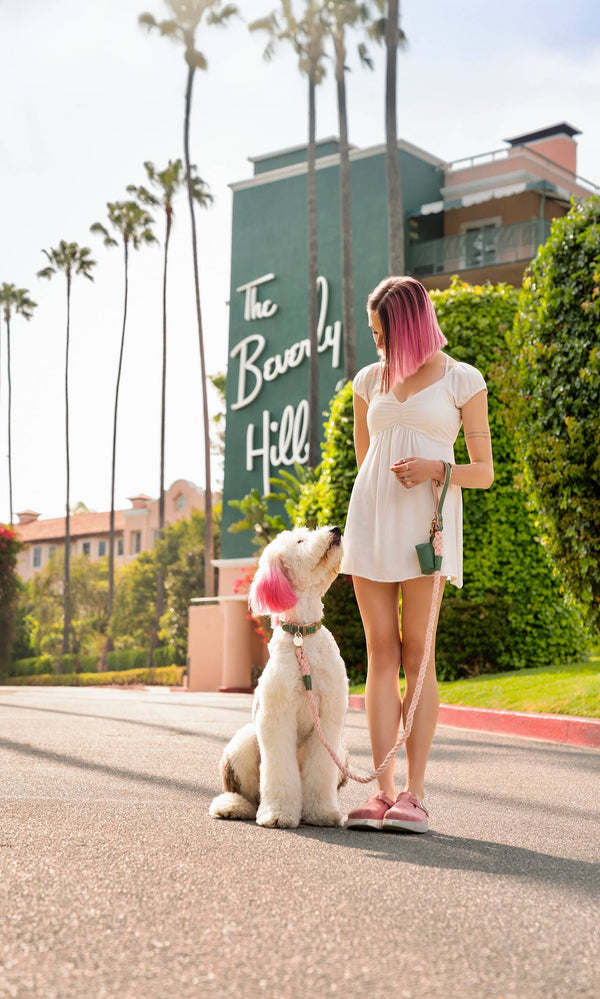 Beverly Hills Poop Case