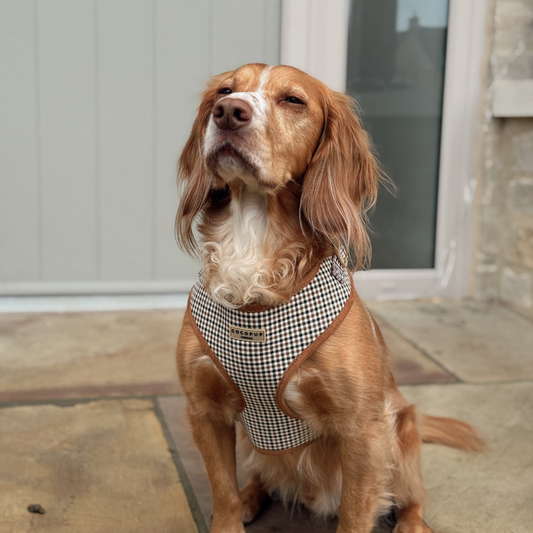 Heritage Check Hundesele