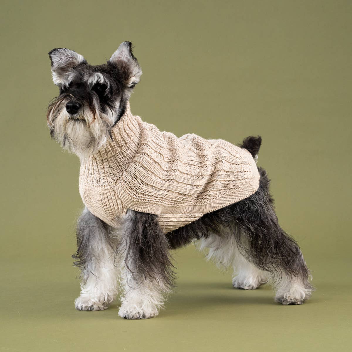Ivory Aran Alpaca Dog Sweater