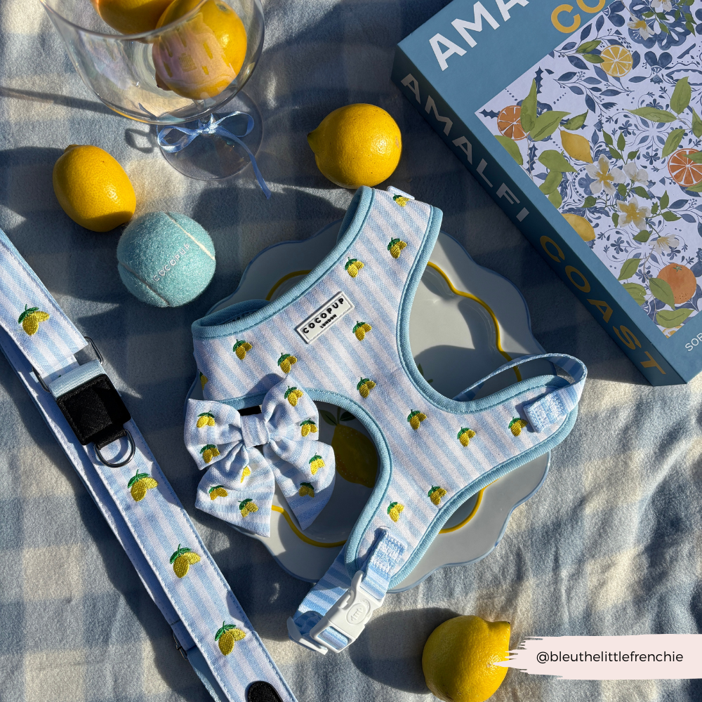 Living La Vida Lemon Sailor