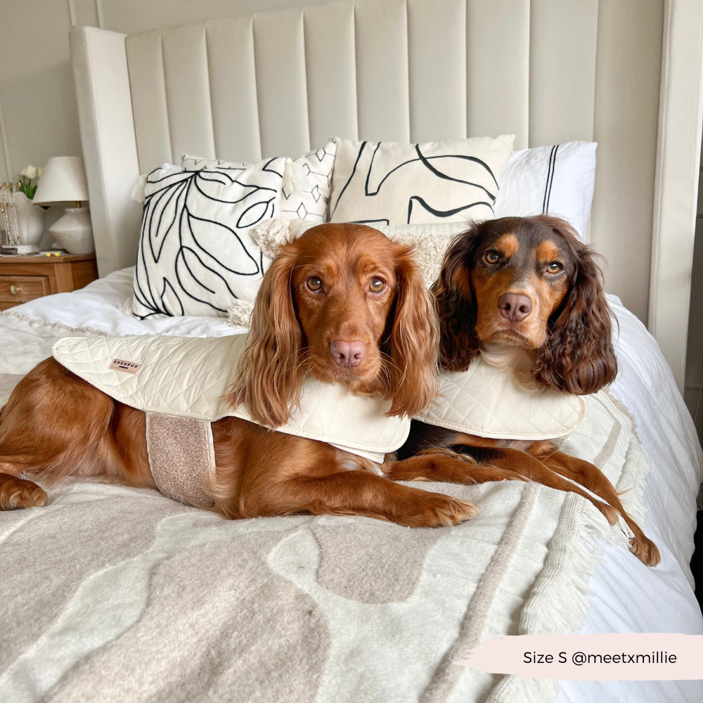 Cocopup London - LUXE Quilted Dog Coat - Creamy Chai