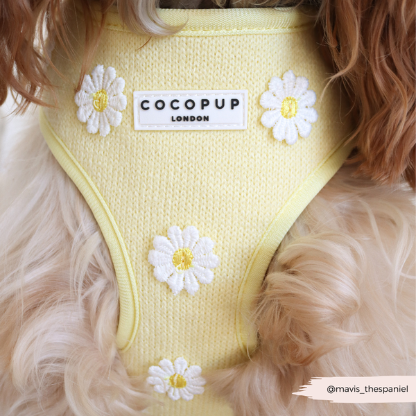 Buttercup Pup Hundesele