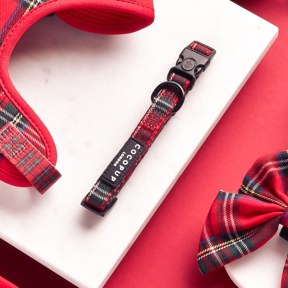 Tartan COLLAR