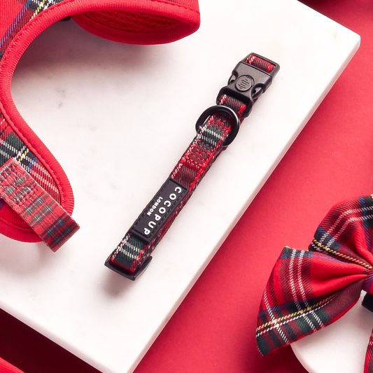 Tartan COLLAR