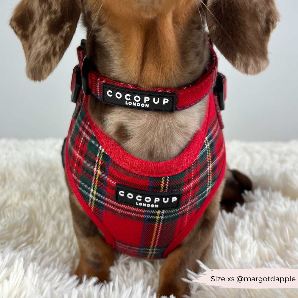 Tartan Adjustable Neck HARNESS