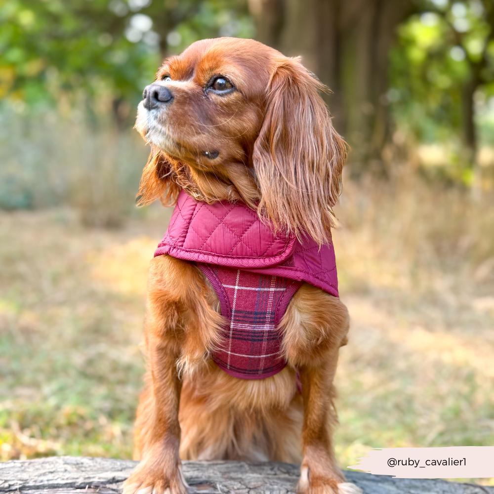 Cocopup London - LUXE Quilted Dog Coat - Mulberry Plaid