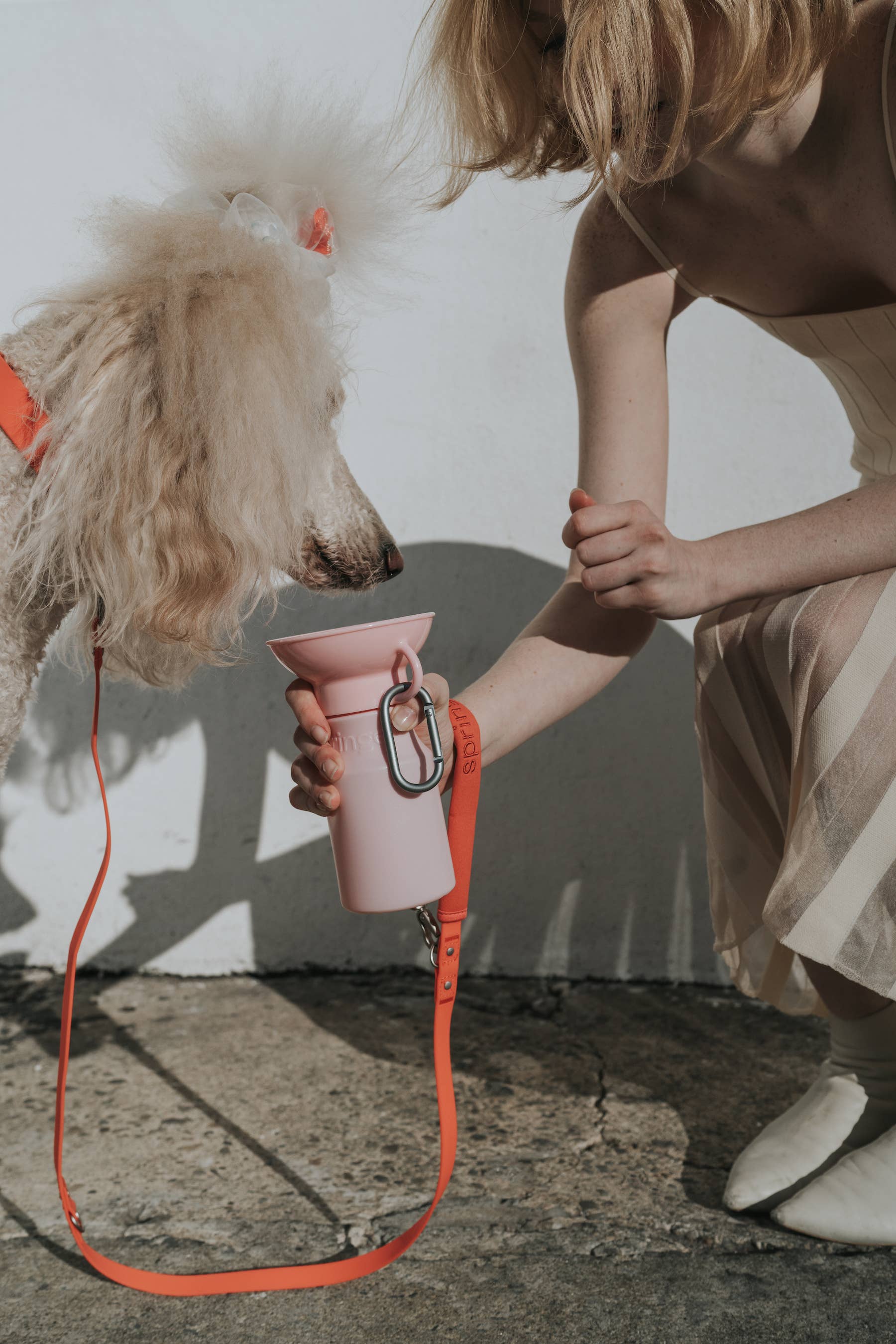 Dog Travel Water Bottle Mini - Black