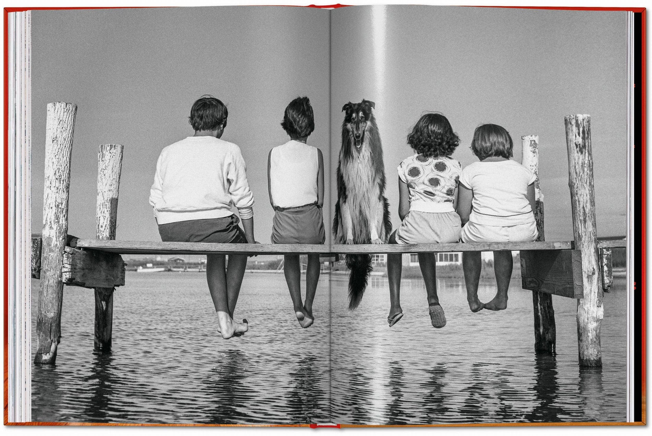 Walter Chandoha. Dogs. Photographs 1941–1991