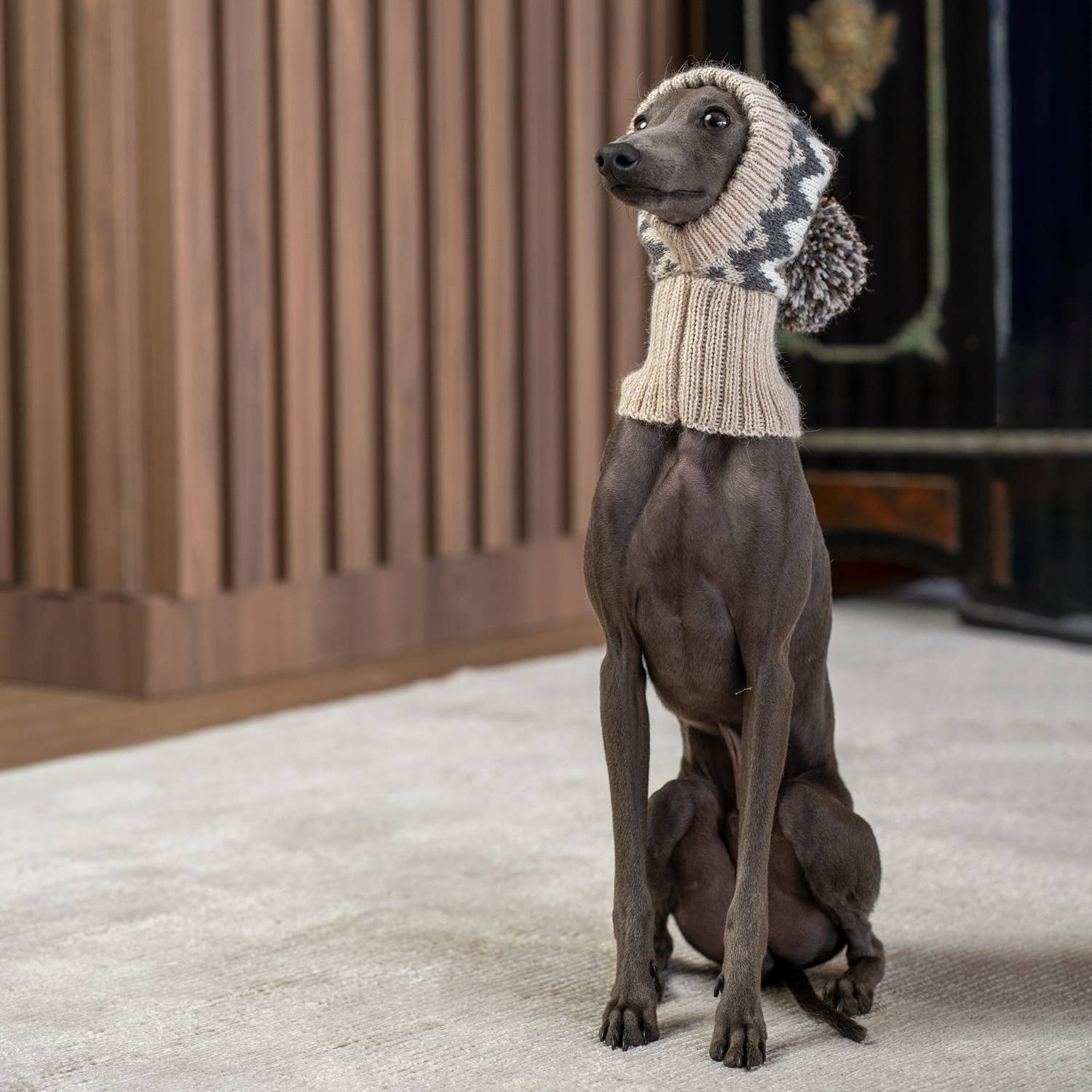 Woolly Winter Alpaca Dog Hat