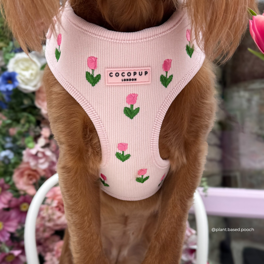 Tulip Tails Hundesele