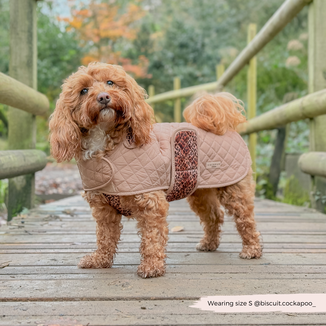 LUXE Quilted Hundejakke