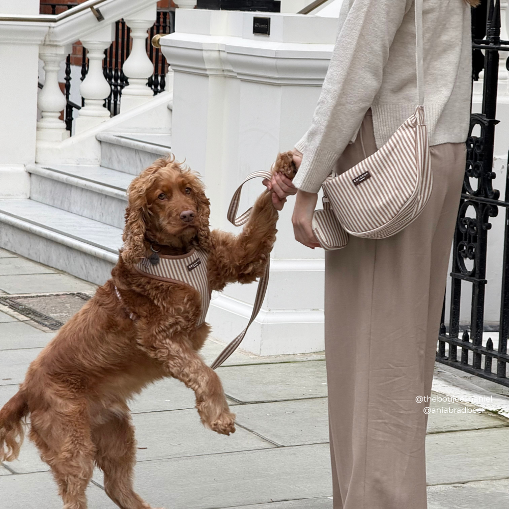 London Linen Stripes Hundesele