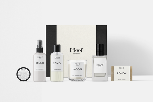 Luxury 6-piece dog grooming set