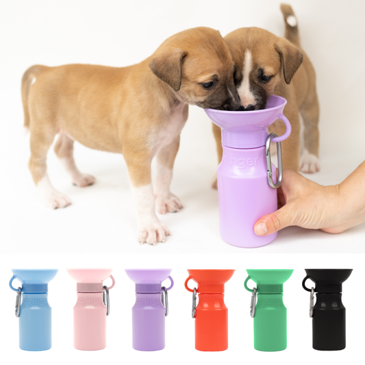 Dog Travel Water Bottle Mini - Black