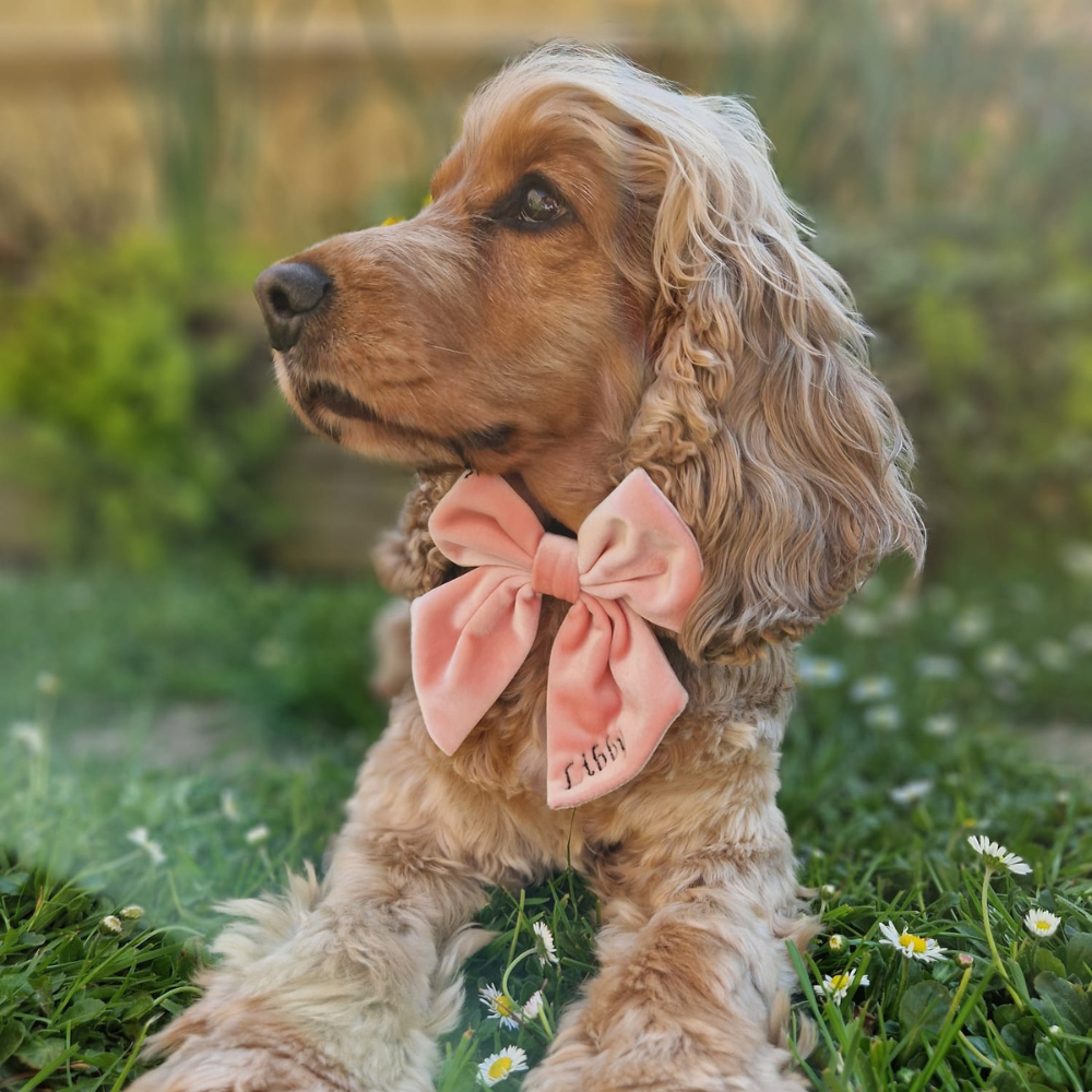 Luxe Velvet Sailor Bow Tie - Baby Pink