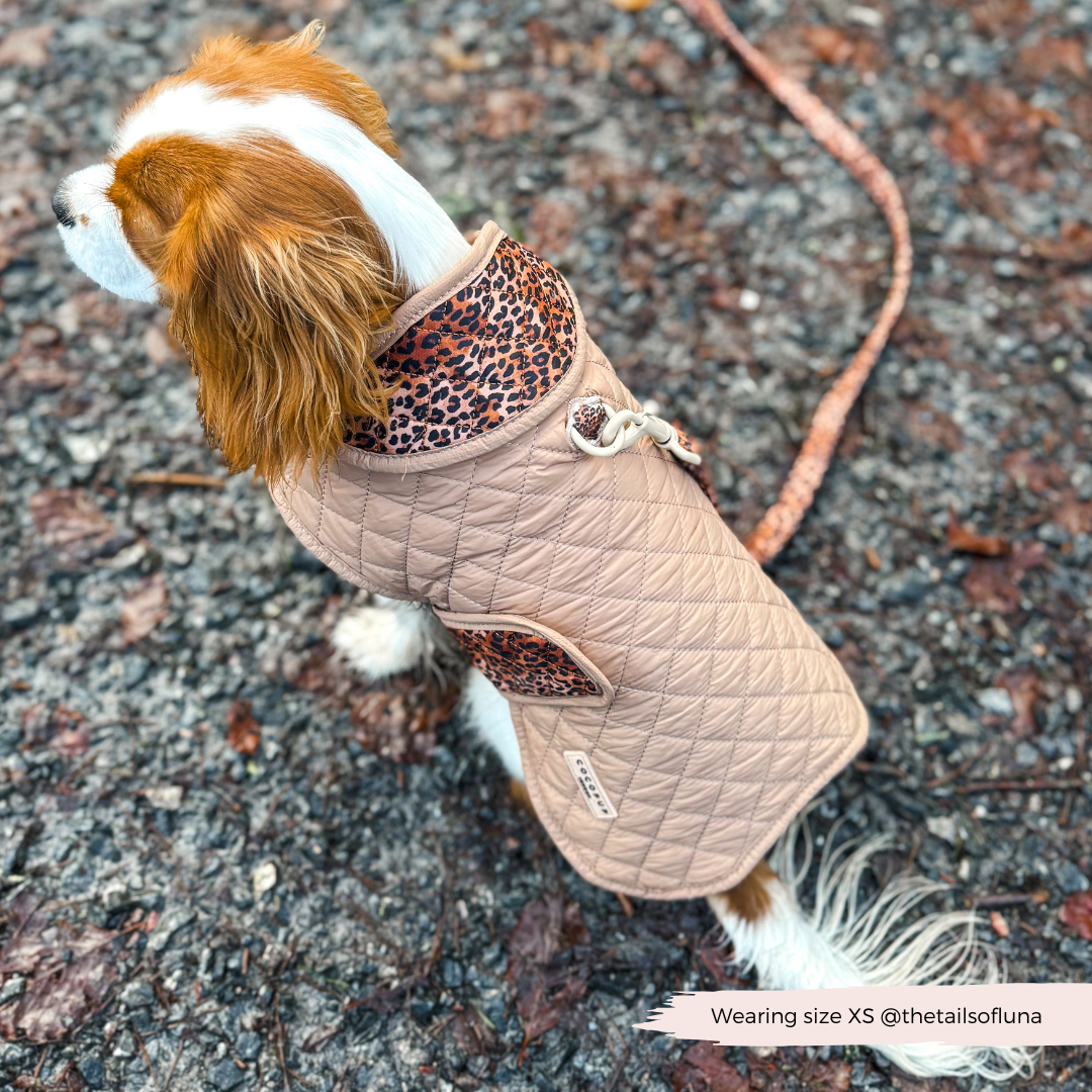 LUXE Quilted Hundejakke