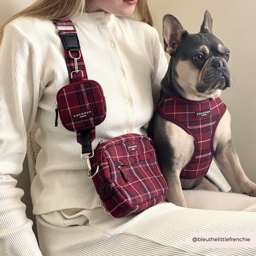 Mulberry treat pouch