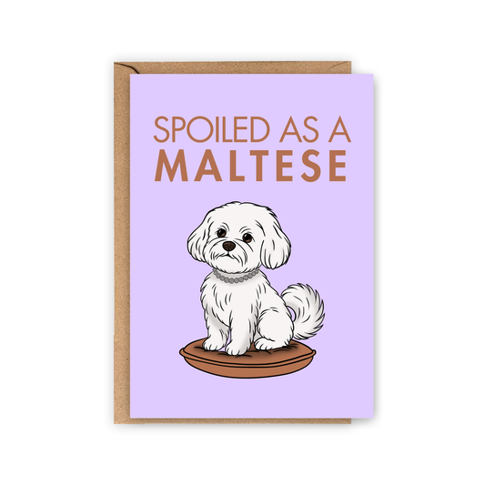 LOLLYPOPARTSTUDIO - Carte Bichon Maltais « Spoiled as a Maltese »