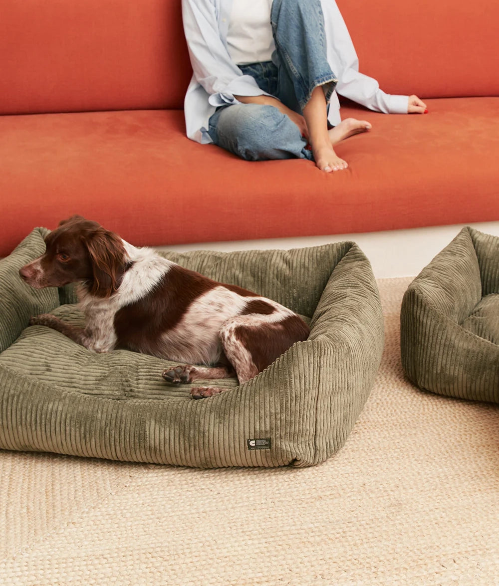 Green Corduroy Dog Bed - Snozy