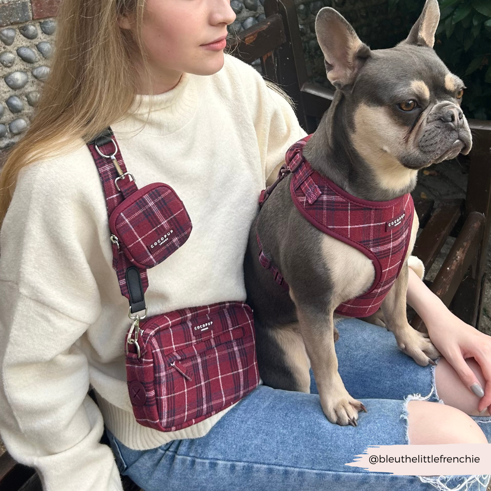 Cocopup London - Mulberry Plaid Adjustable Neck HARNESS