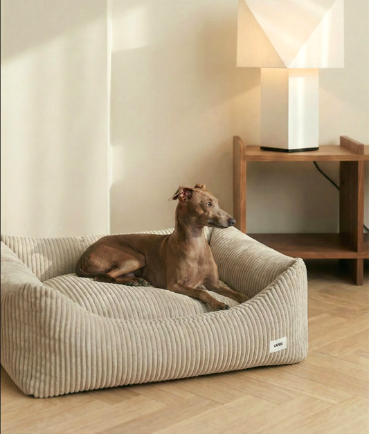 Hundeseng i kord - Beige