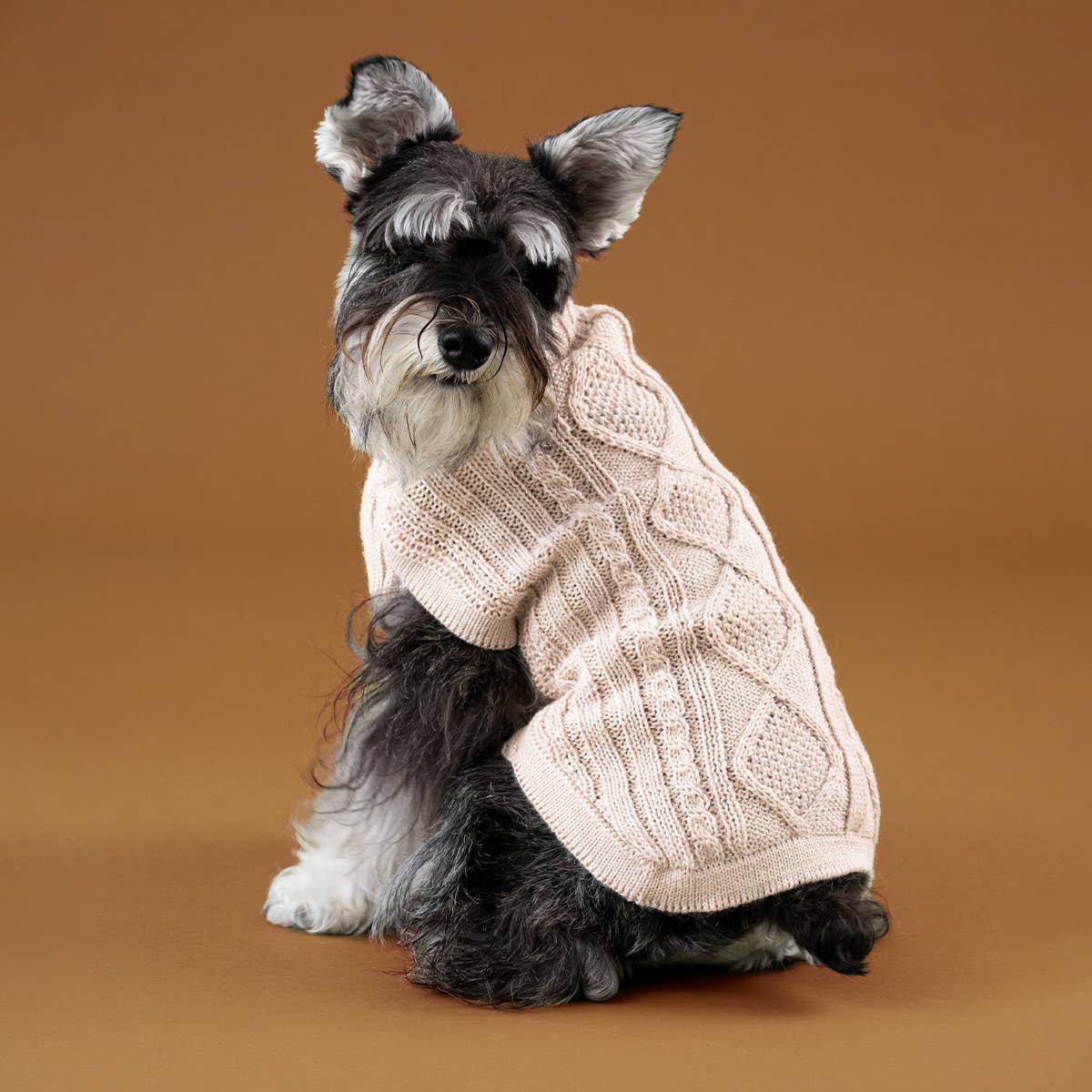 Ivory Aran Alpaca Dog Sweater